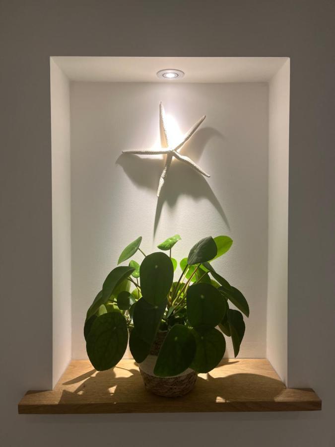 Appartement Van Der Zee Zandvoort Eksteriør billede