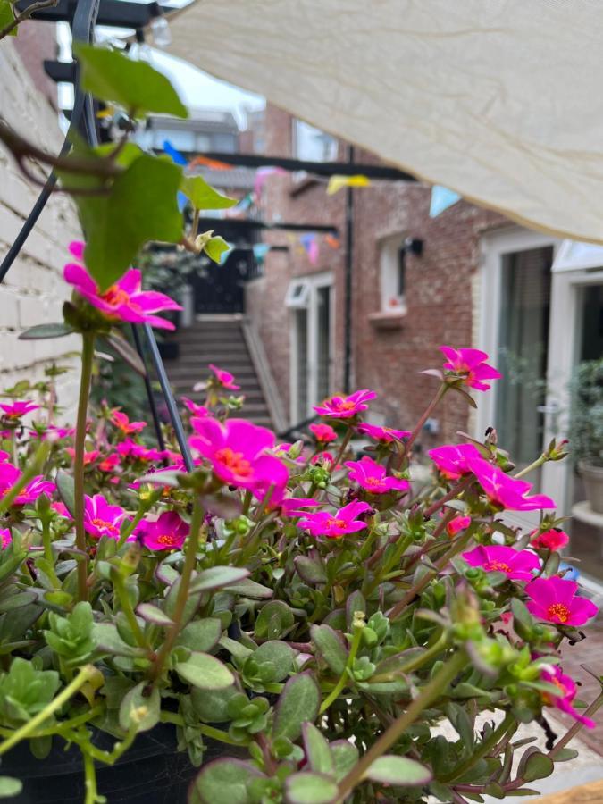Appartement Van Der Zee Zandvoort Eksteriør billede